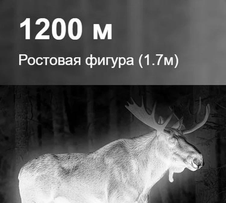 34ae4154-5ab3-4e6f-ac9e-40e59ce88cf4-sfh-varg-l25rl-pro-6.jpg