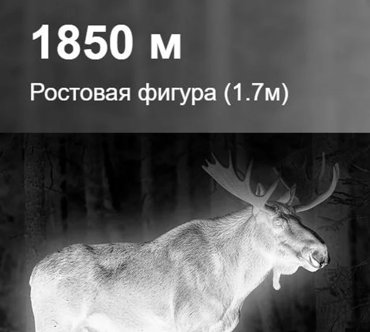 865366d2-115a-4ac6-bbea-f396b43516a5-sfh-varg-35rl-pro-7.jpg